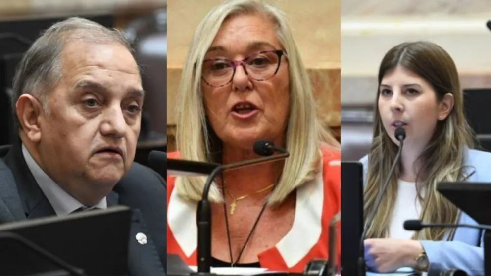 Cómo votaron los senadores chubutenses las modificaciones a Ley de Glaciares