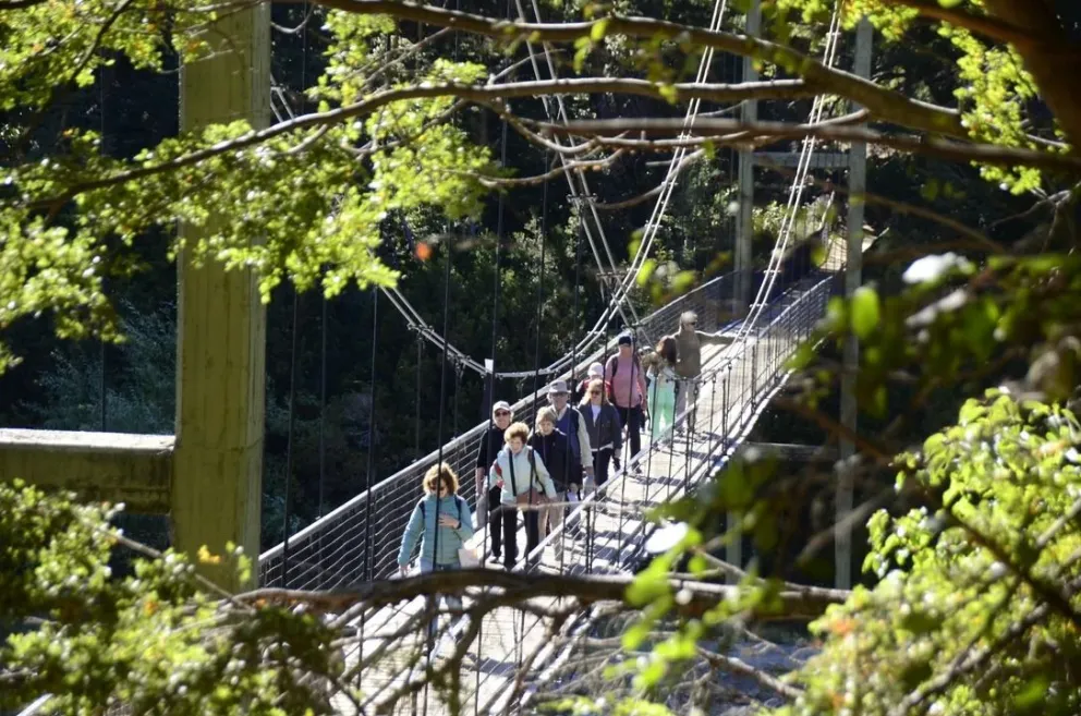 El Parque Nacional Los Alerces mantiene servicios activos tras el incendio