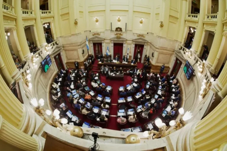 El Senado convirtió en ley la reforma laboral