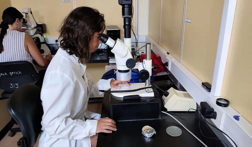 Científicos del Conicet analizan la presencia de microplásticos en el Golfo Nuevo