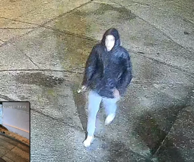 Vandalizaron una cámara de seguridad con IA en LU4