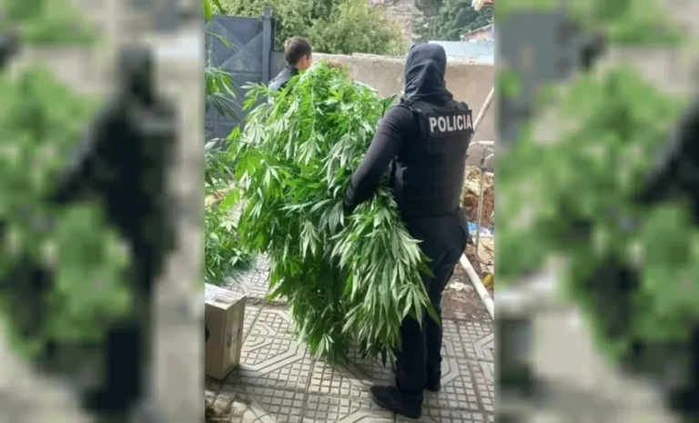 Allanaron una casa en Esquel y desarticularon un kiosco de drogas con delivery