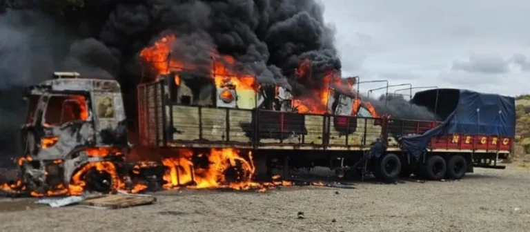 Tragedia en Astra: murió un chofer tras incendiarse su camión