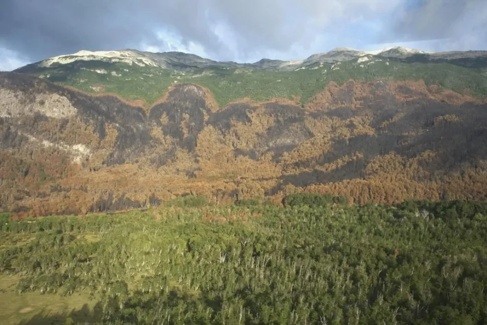 Incendio en Los Alerces: las lluvias modifican el escenario del operativo