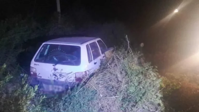 Accidente en Ruta 7: una mujer chocó contra un caballo muerto