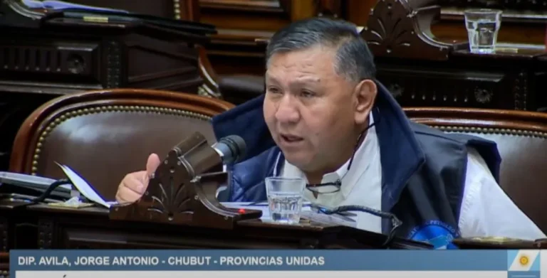 Ávila adelantó su voto en contra de la reforma y pidió la emergencia petrolera