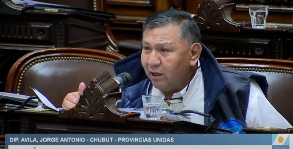 Ávila adelantó su voto en contra de la reforma y pidió la emergencia petrolera
