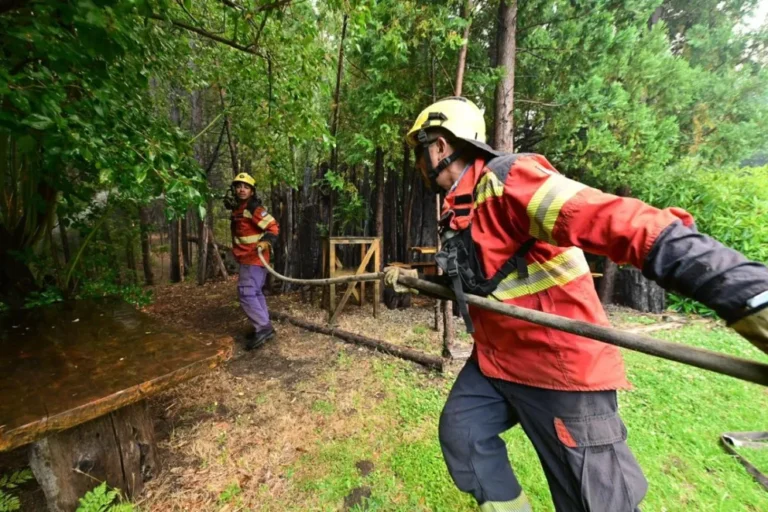 Incendios forestales en Chubut: las lluvias contribuyen a las tareas pero el combate de cientos de brigadistas y medios aéreos continúa