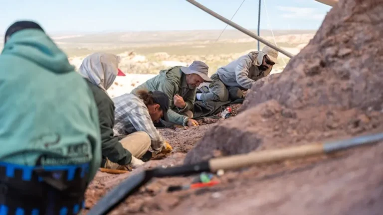 Descubren fósiles de dinosaurios acorazados de 120 millones de años en Neuquén