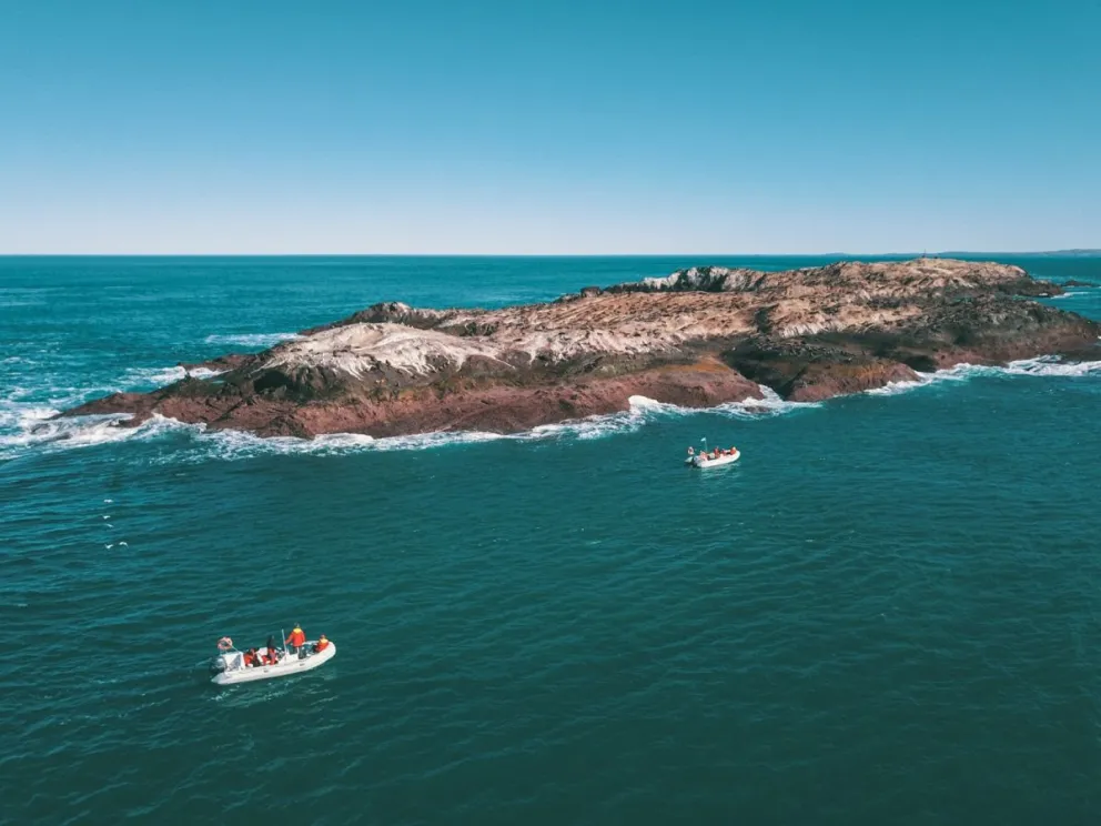 Registran por primera vez una ballena azul en el Parque Patagonia Azul