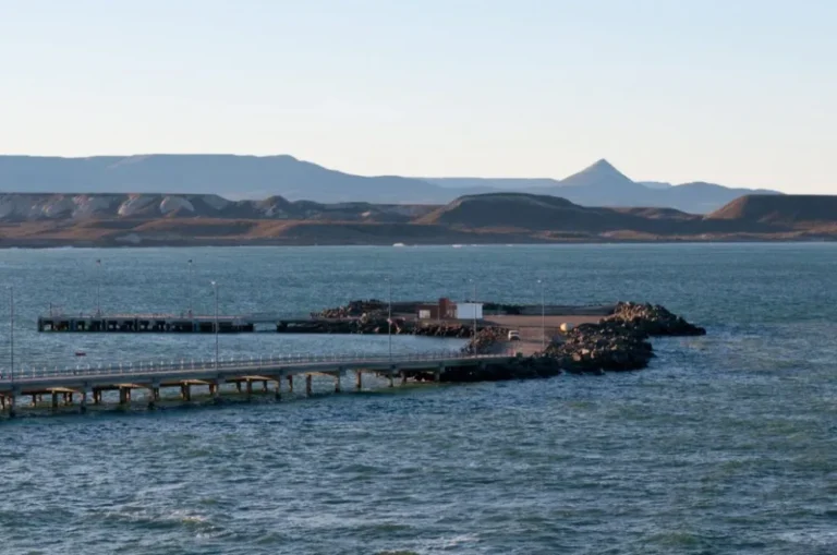 Evento solidario en Caleta Córdova: habrá food trucks, artesanos y música en vivo