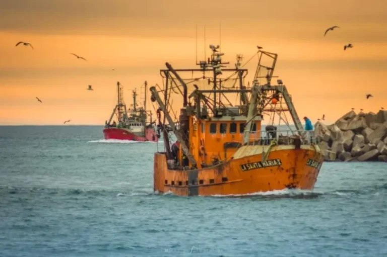 Torres presentará una reforma a la Ley de Pesca provincial impulsando “Ficha Limpia Pesquera” en la legislatura