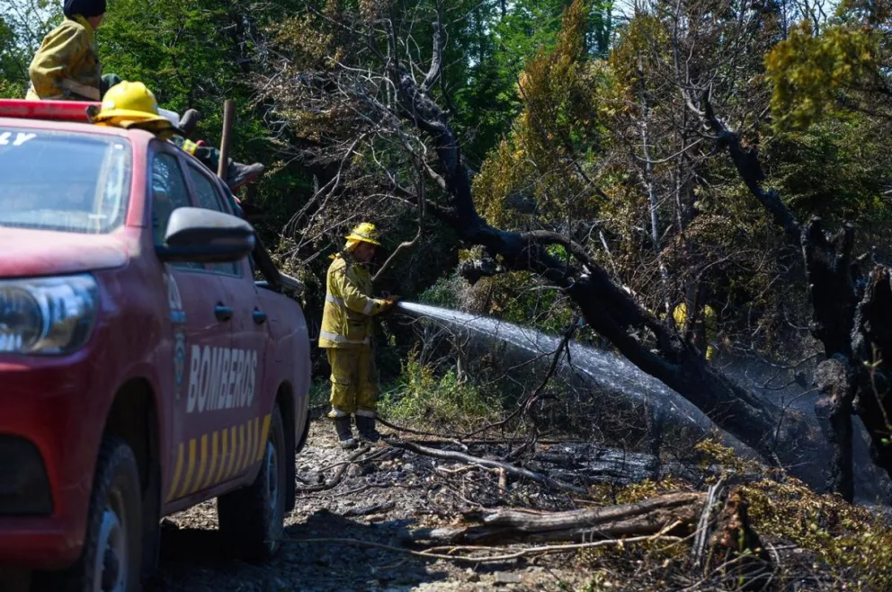 Incendios en la Cordillera: operativo masivo lucha contra focos activos y nuevos siniestros