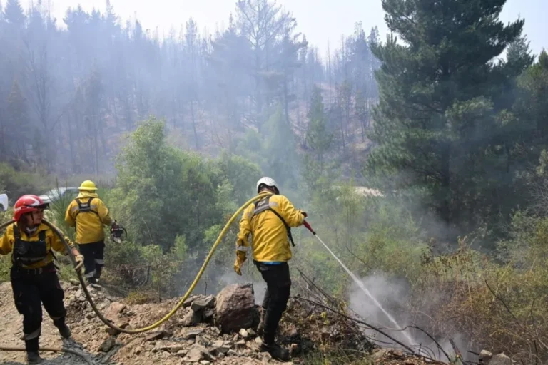 Los Incendios siguen activos en Puerto Patriada, Los Alerces y Desembocadura El Tigre–Lago Cholila