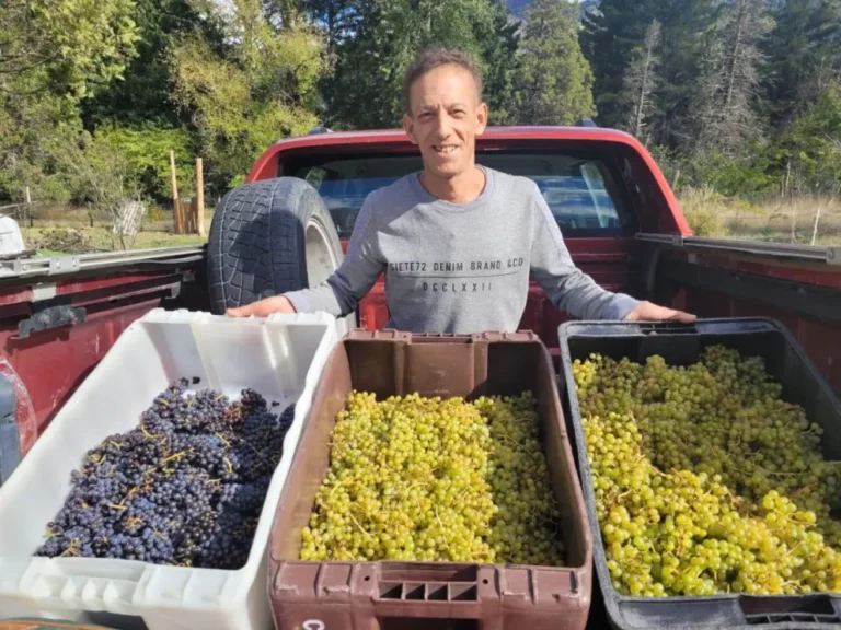 Producción regenerativa y experiencias sensoriales: Lago Puelo potencia su identidad vitivinícola