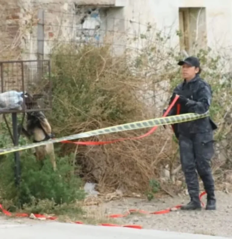 Misterio en Caleta Olivia: Hallan restos humanos en una casa abandonada tras un rastrillaje con perros tácticos