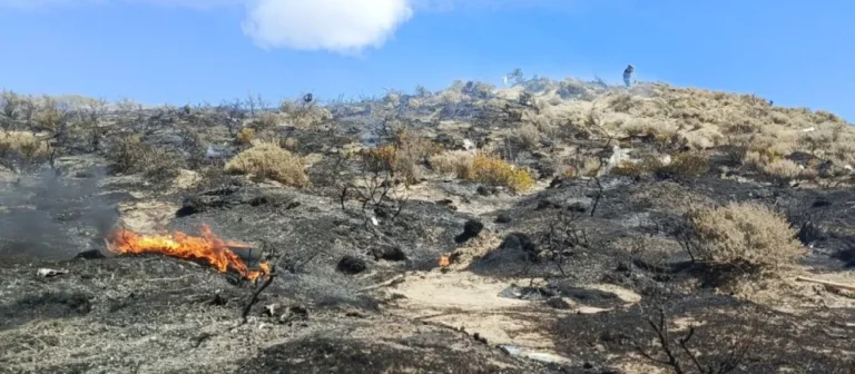 Barrio Industrial: bomberos combatieron un incendio de pastizales y basura