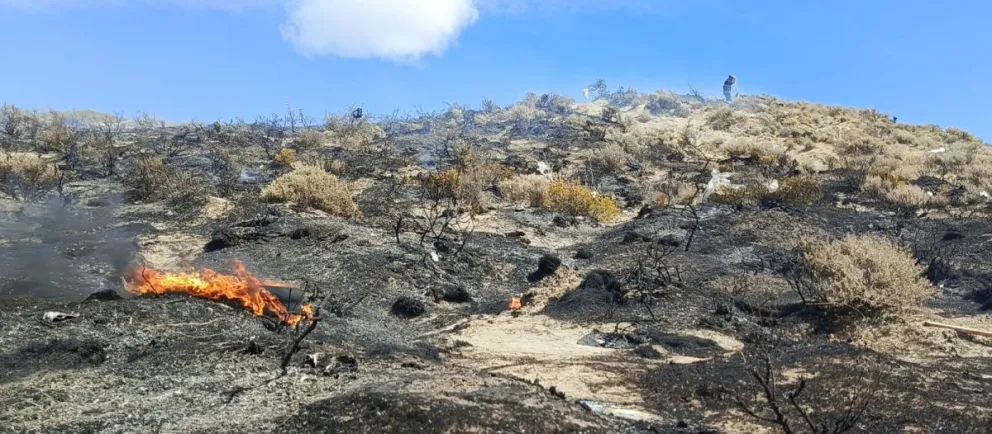 Barrio Industrial: bomberos combatieron un incendio de pastizales y basura