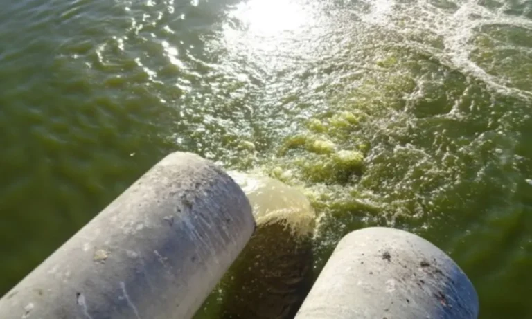 Laguna Negra: Se cumplen 24 años del fallo que prohíbe el volcado de líquidos