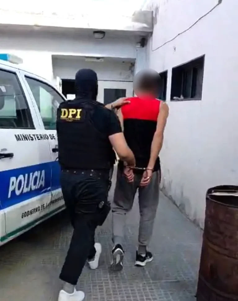 Seis meses de prisión preventiva para Carlos Llanos por el homicidio de Levill