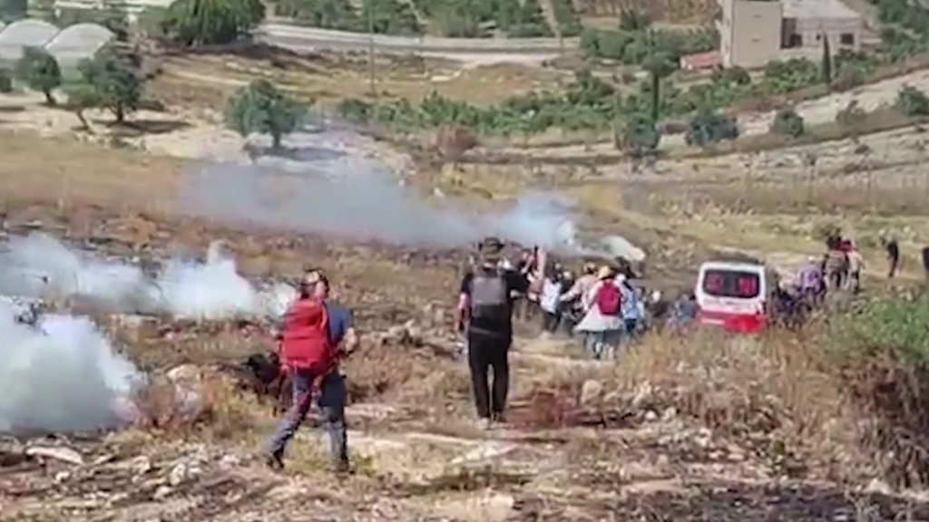 Agricultores palestinos de Cisjordania siguen afrontando los ataques de colonos israelíes