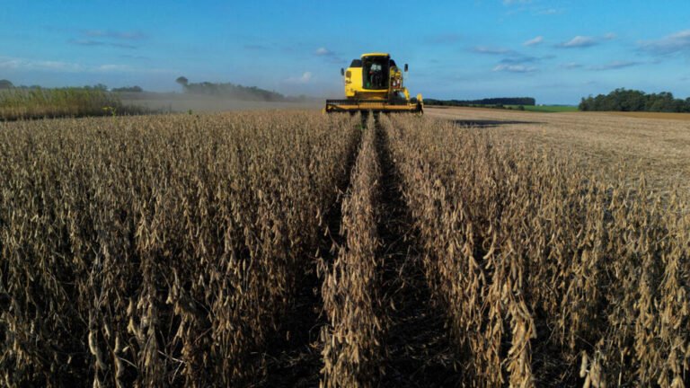 ¿Cómo impacta la guerra en Irán a los agricultores en Brasil?