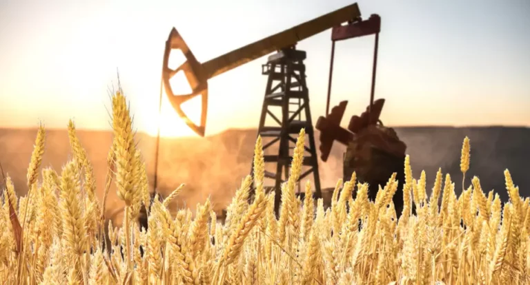 La guerra que llegó al mostrador: Irán, el petróleo y el frágil proceso desinflacionario argentino