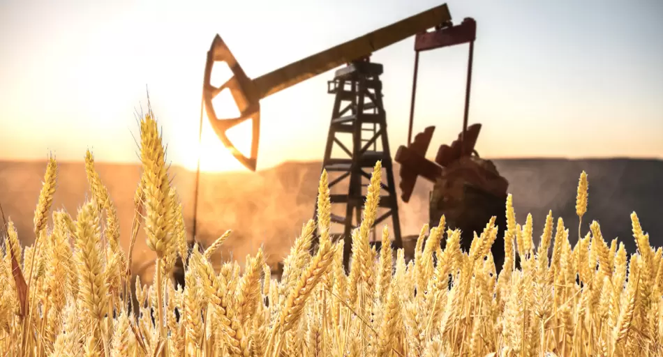 La guerra que llegó al mostrador: Irán, el petróleo y el frágil proceso desinflacionario argentino