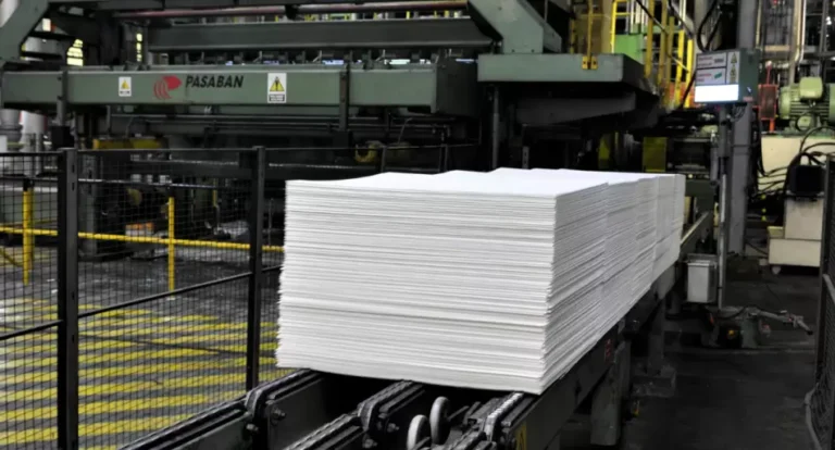 De Peabody a Celulosa: la lista de empresas que buscan evitar la quiebra