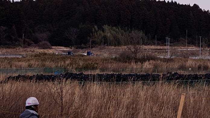 Japón conmemora el 15º aniversario del terremoto, el tsunami y el desastre nuclear de Fukushima