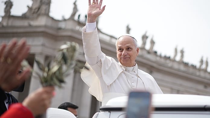 Peregrinos españoles al Papa en la misa de Domingo de Ramos: "¡Nos vemos pronto en España!"