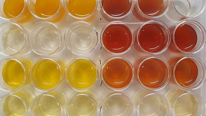 La bacteria española que podría limpiar los campos de batalla y volver a hacerlos fértiles