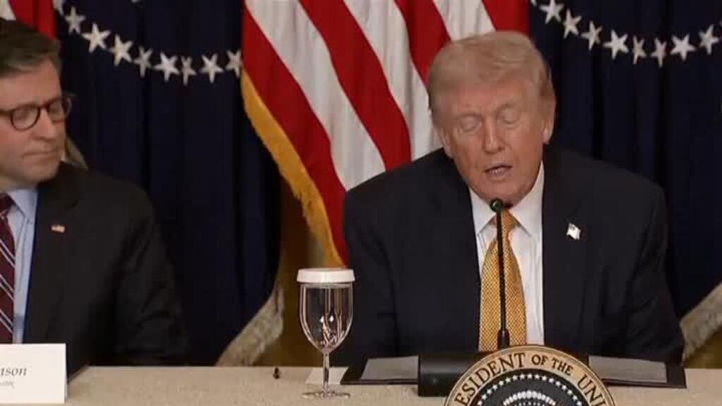 Asia y Europa rechazan enviar buques al estrecho de Ormuz, Trump expresa disgusto