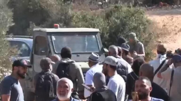 Cisjordania ocupada: Ejército israelí asegura que investiga los ataques de colonos