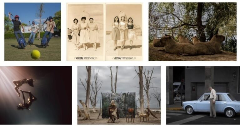 Seis fotógrafos argentinos fueron reconocidos en los Sony World Photography Awards