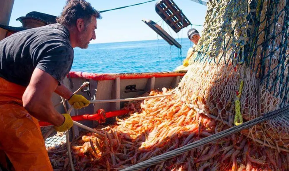 Chubut oficializó el cierre de la temporada de langostino