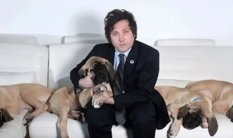 Falleció Robert, uno de los perros del presidente Javier Milei en la Quinta de Olivos