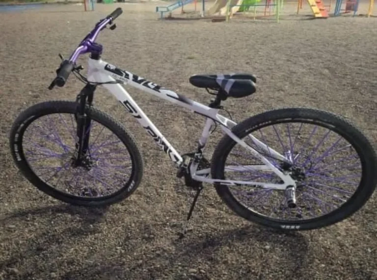 Piden colaboración para recuperar una bicicleta robada en Standard Norte