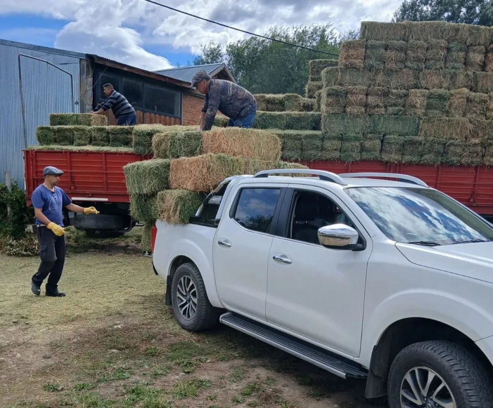 El Gobierno del Chubut fortalece el sector ganadero de la Cordillera con la entrega de fardos de alfalfa