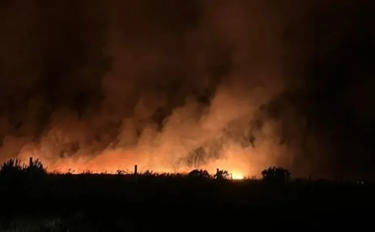 Incendio forestal en Mar del Plata: más de 200 hectáreas afectadas