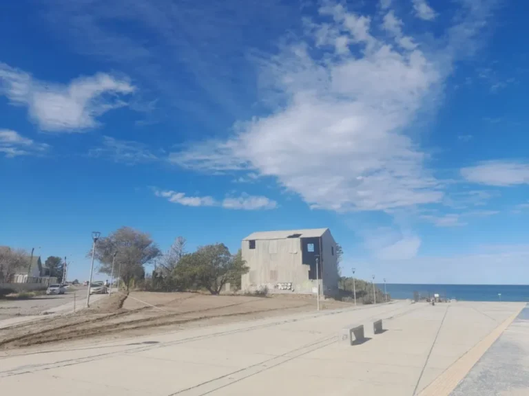 "Boulevard de las Melodías": Vecinos recuperan espacio abandonado para homenajear a músicos locales