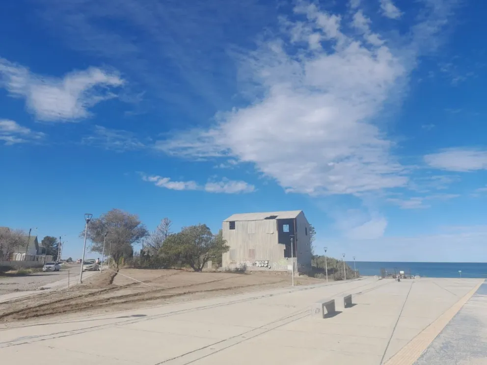 "Boulevard de las Melodías": Vecinos recuperan espacio abandonado para homenajear a músicos locales