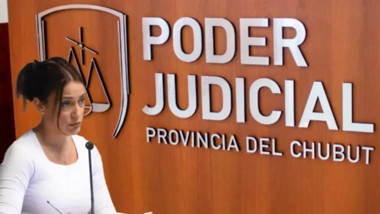 La fiscal Gamarra negó haber recibido dinero o solicitudes y pidió ser investigada