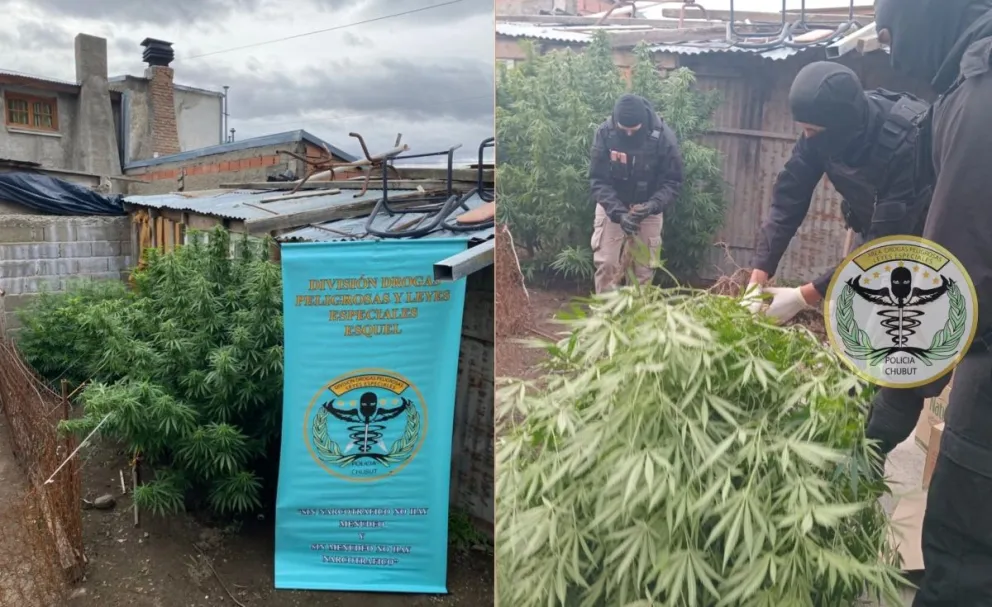 Desarticulan punto de venta de drogas tras un allanamiento en Esquel