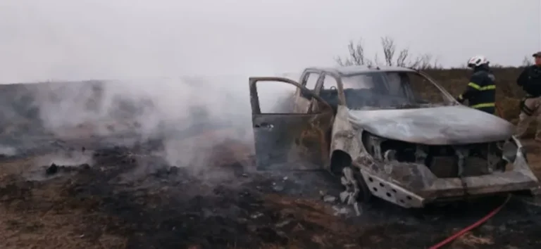 Trelew: Robaron animales con una camioneta sustraída en Comodoro y la incendiaron