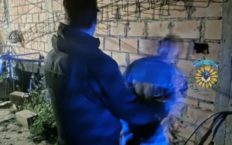 Alcoholizado golpeó puertas y ventanas para entrar a la casa de su ex