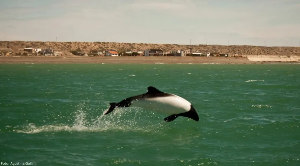Chubut invita a disfrutar el fin de semana largo con promociones y experiencias únicas en toda la provincia