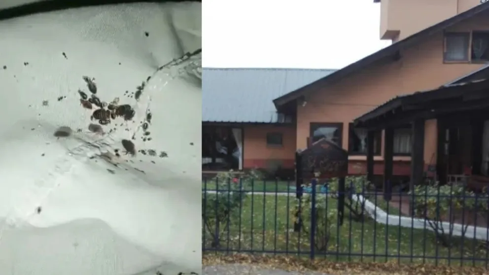 Clausura del hogar de ancianos en Trevelin: ”Las chinches caminaban en las camas y en las paredes”