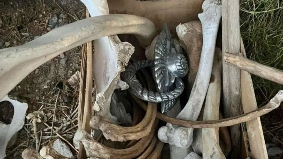 Encuentran caja con huesos y elementos religiosos en Gaiman