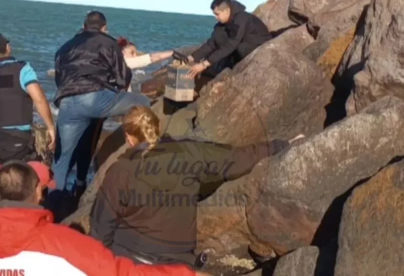 Hallazgo estremecedor en la costa de Chubut: encontraron un cráneo humano en Playa Unión